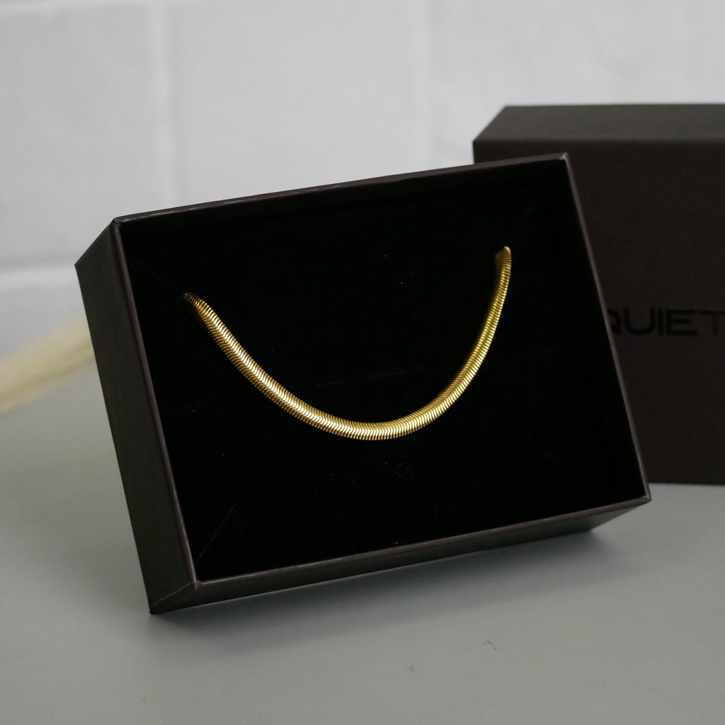 Snake Link Necklace